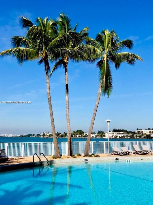 На продажу: $169,800 (0 спален, 1 ванн, 577 Квадратных фут)