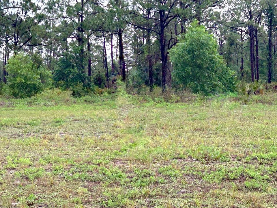 For Sale: $45,000 (0.28 acres)