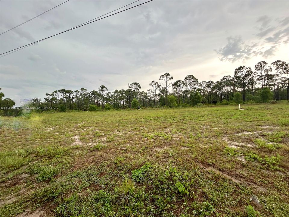 For Sale: $45,000 (0.28 acres)