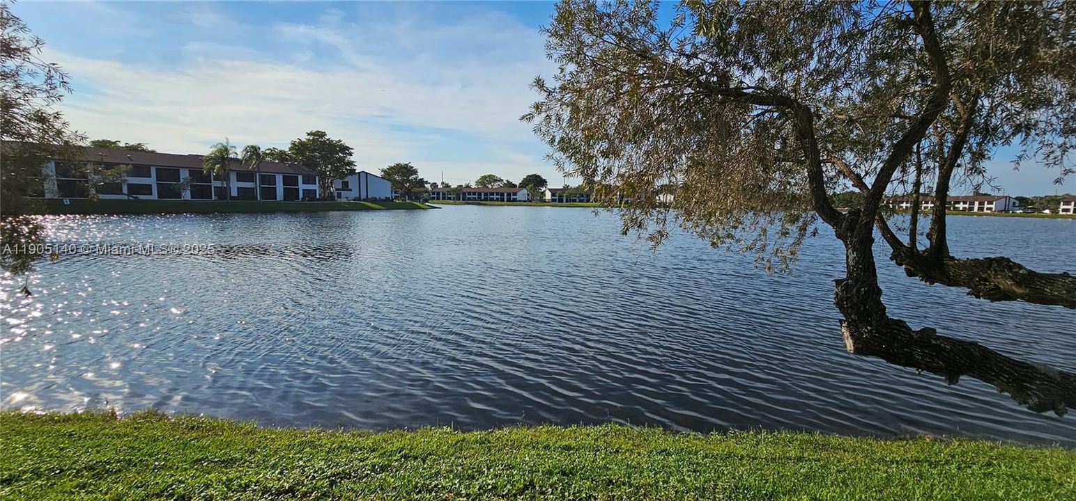 待售: $174,000 (2 贝兹, 2 浴室, 890 平方英尺)