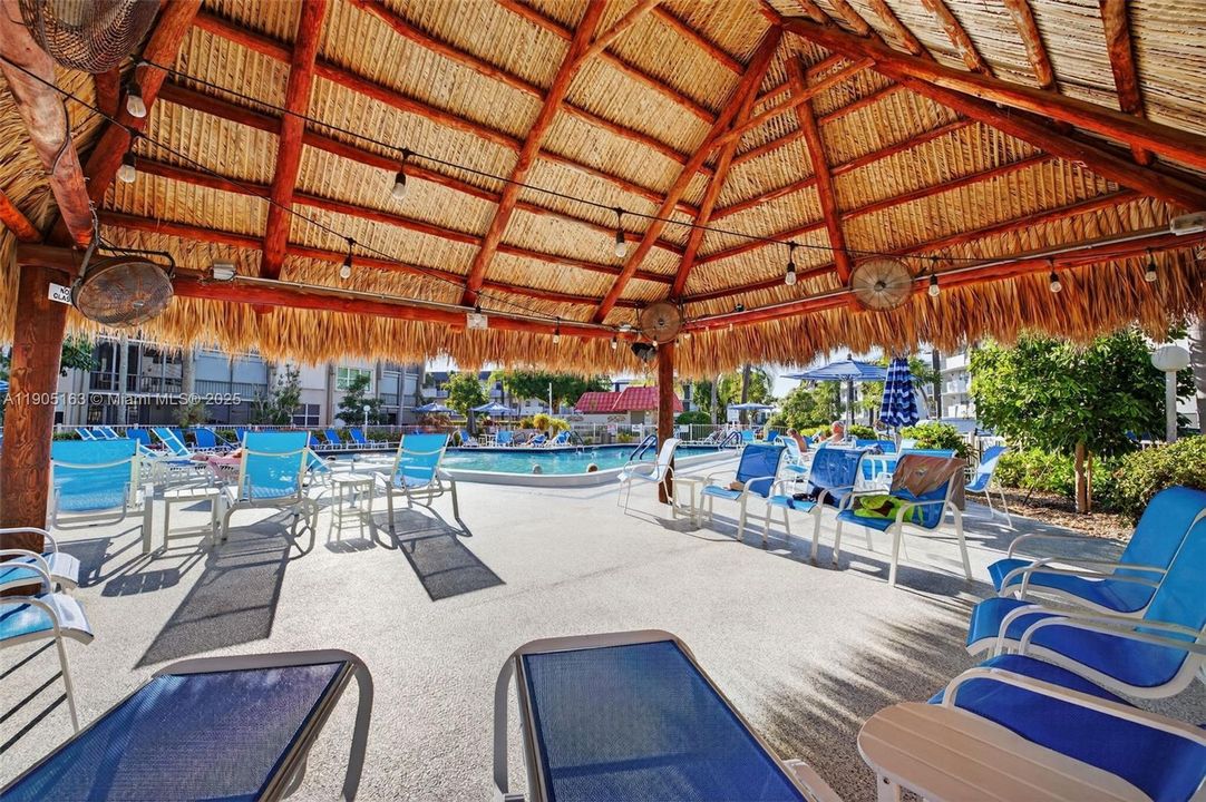 待售: $230,000 (2 贝兹, 1 浴室, 911 平方英尺)