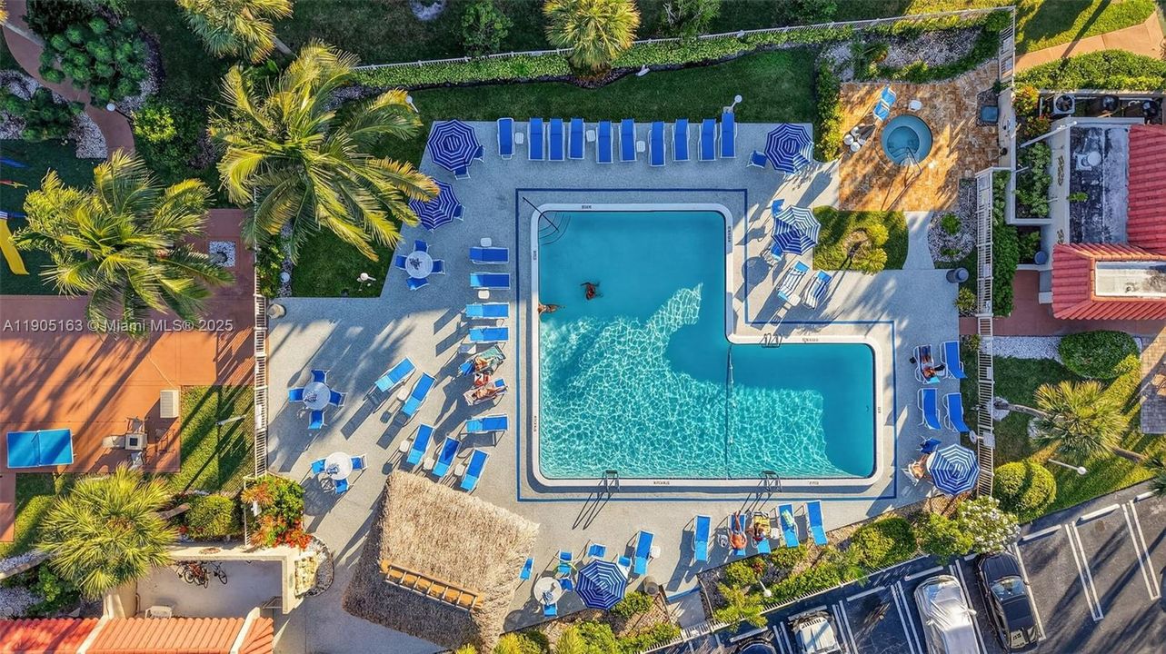 待售: $230,000 (2 贝兹, 1 浴室, 911 平方英尺)