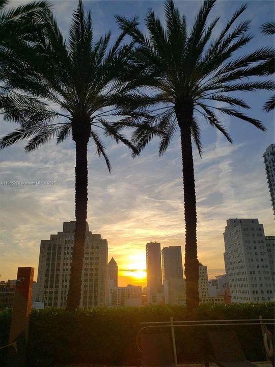 For Rent: $2,500 (0 beds, 1 baths, 567 Square Feet)