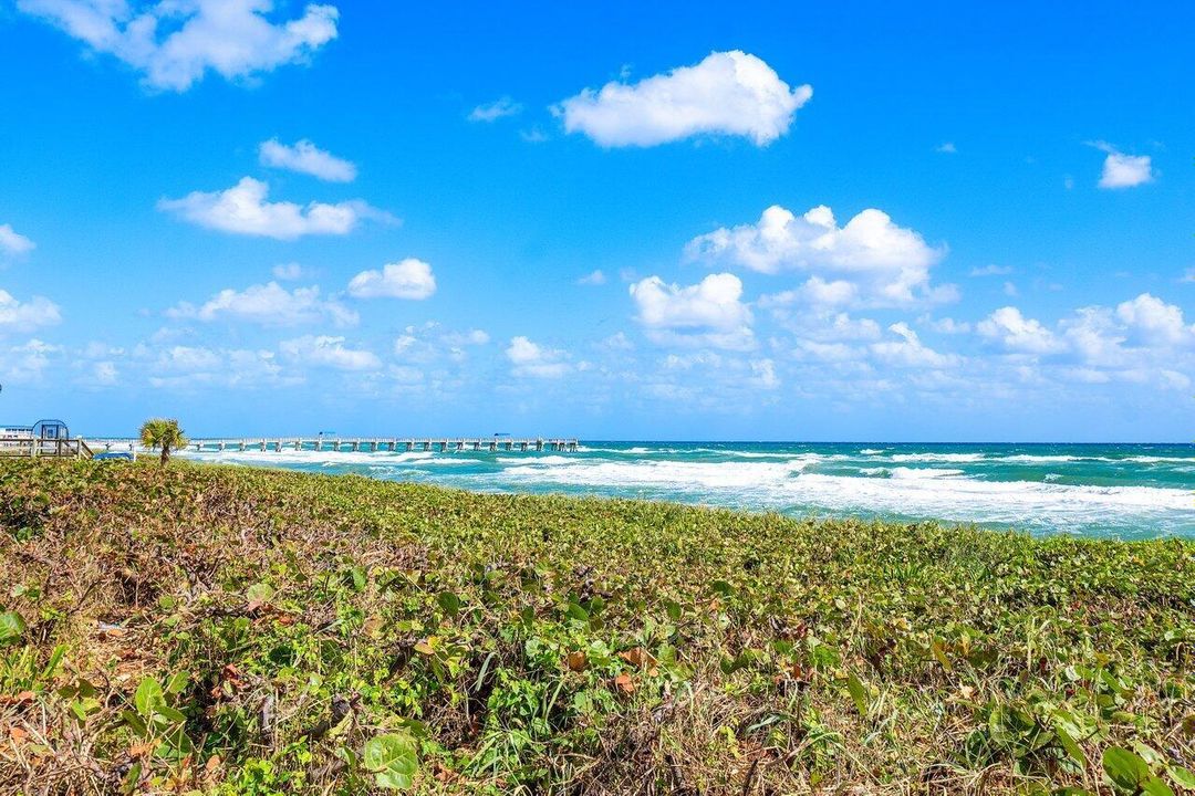 Ocean Views From Lawn