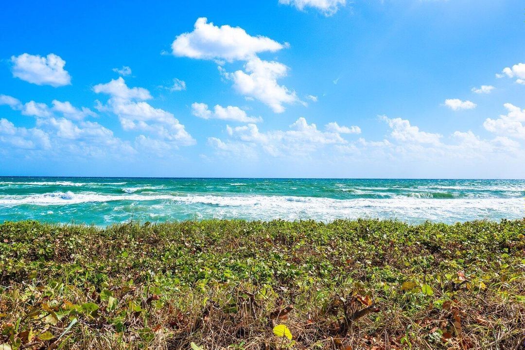 Ocean Views From Lawn