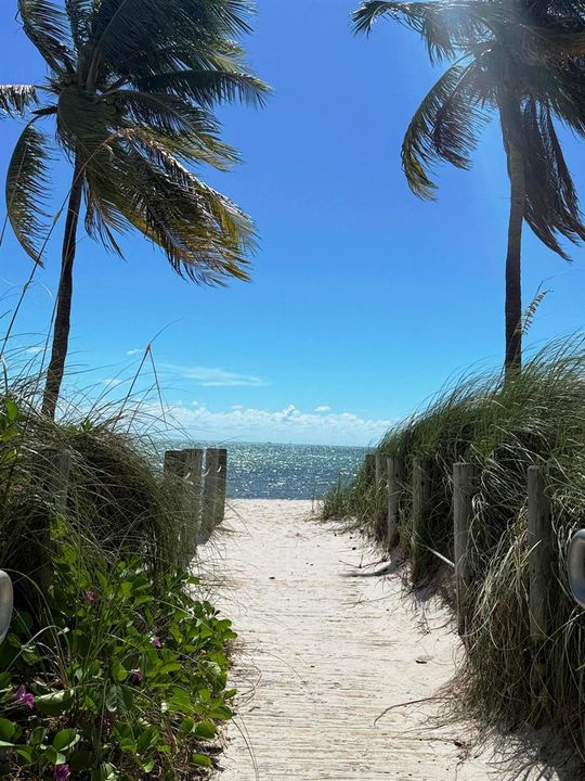 Path to the Beach