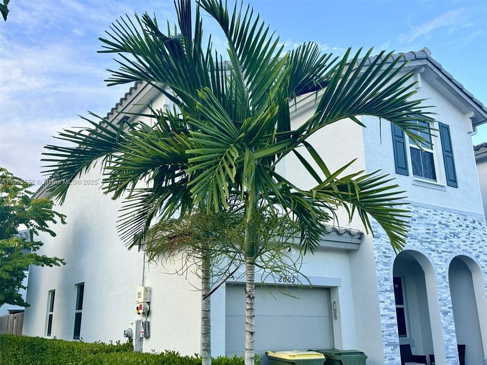 出租: $3,500 (3 贝兹, 2 浴室, 1827 平方英尺)