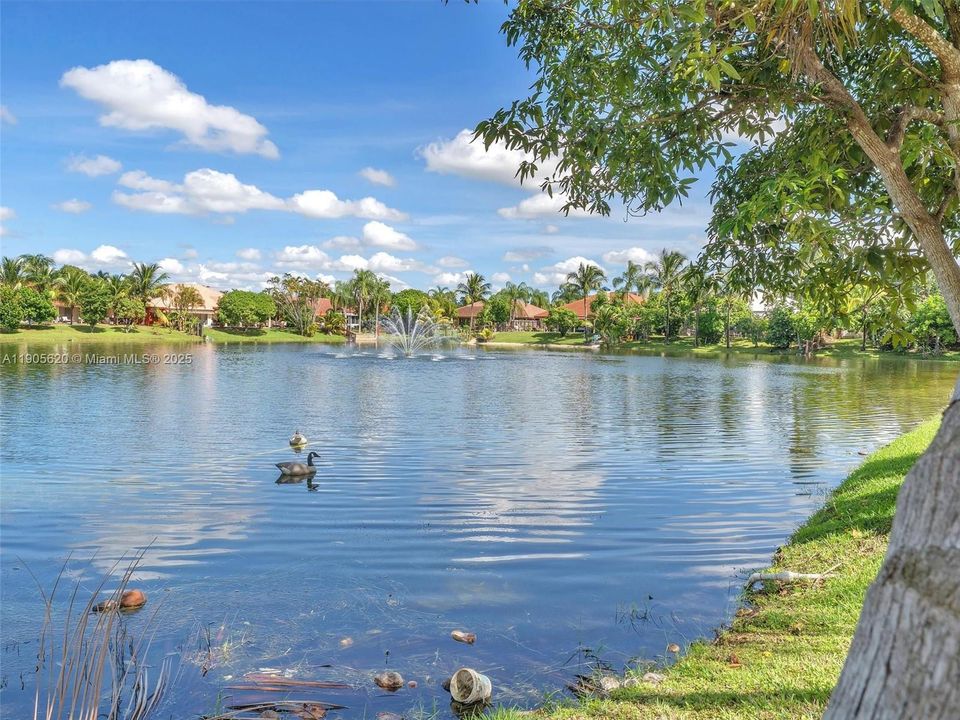 最近售出: $658,000 (4 贝兹, 2 浴室, 2352 平方英尺)