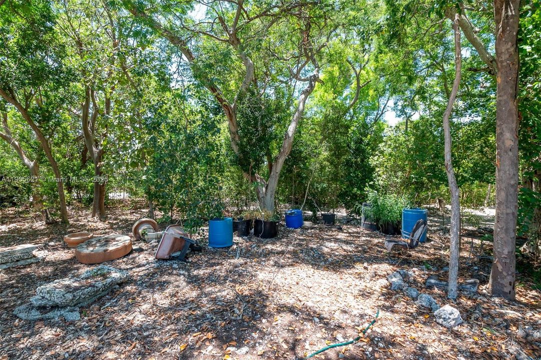 На продажу: $1,175,000 (0.99 acres)