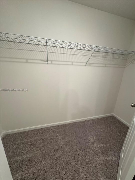 出租: $2,890 (3 贝兹, 2 浴室, 1541 平方英尺)