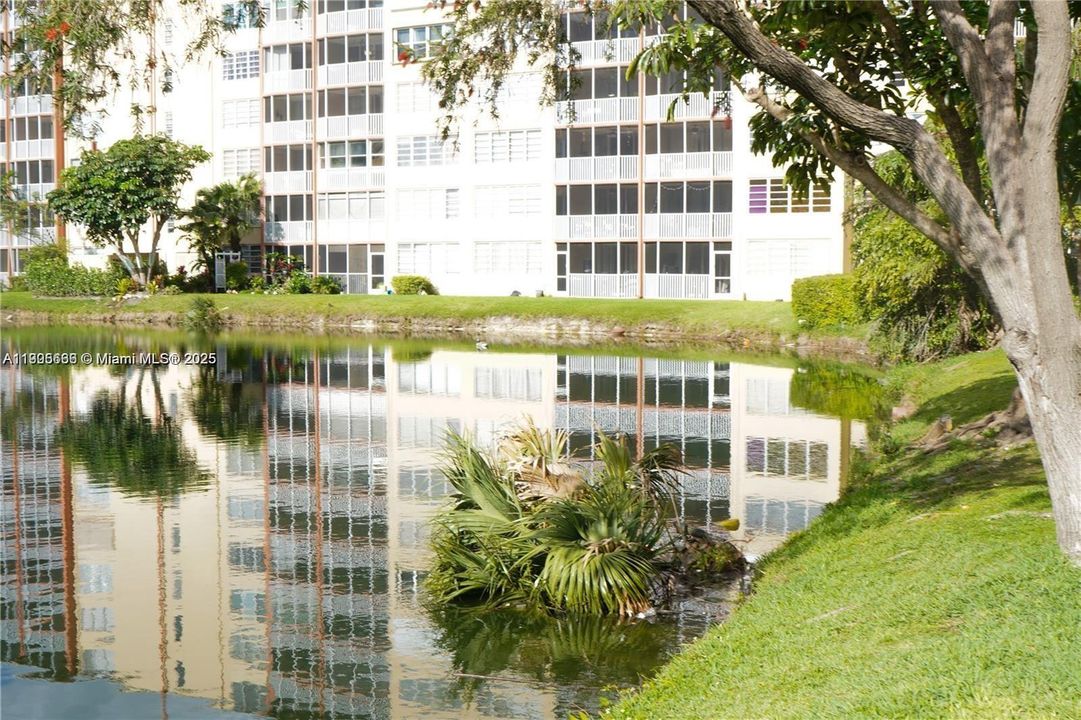 En Renta: $2,000 (1 camas, 1 baños, 1036 Pies cuadrados)