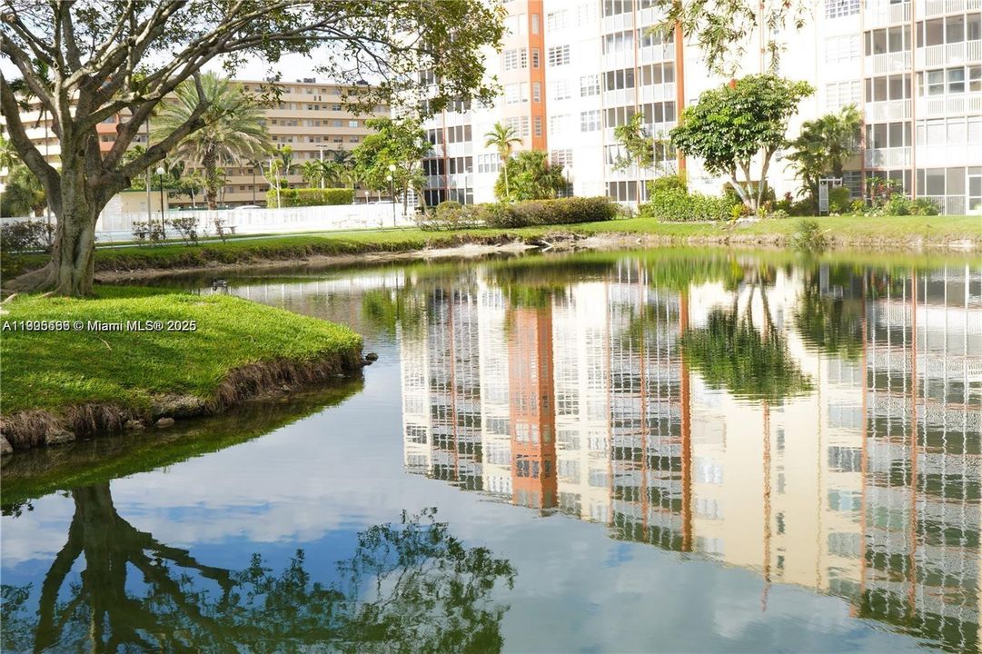 En Renta: $2,000 (1 camas, 1 baños, 1036 Pies cuadrados)