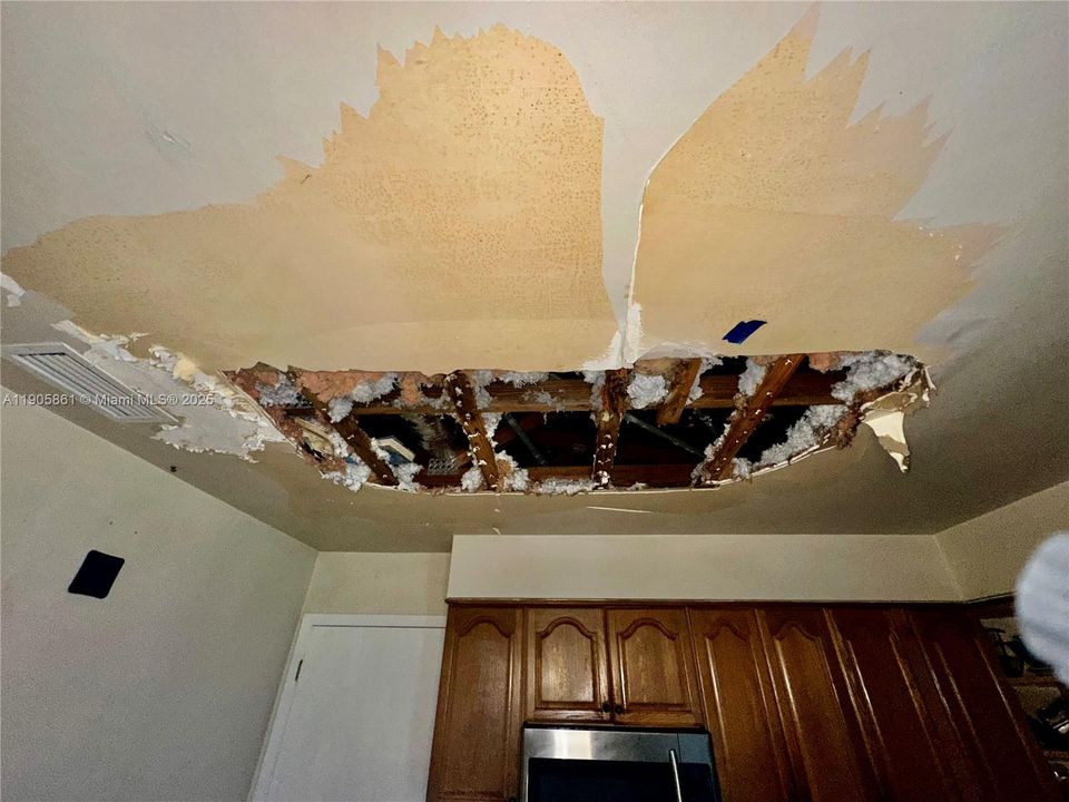 Kitchen Ceiling