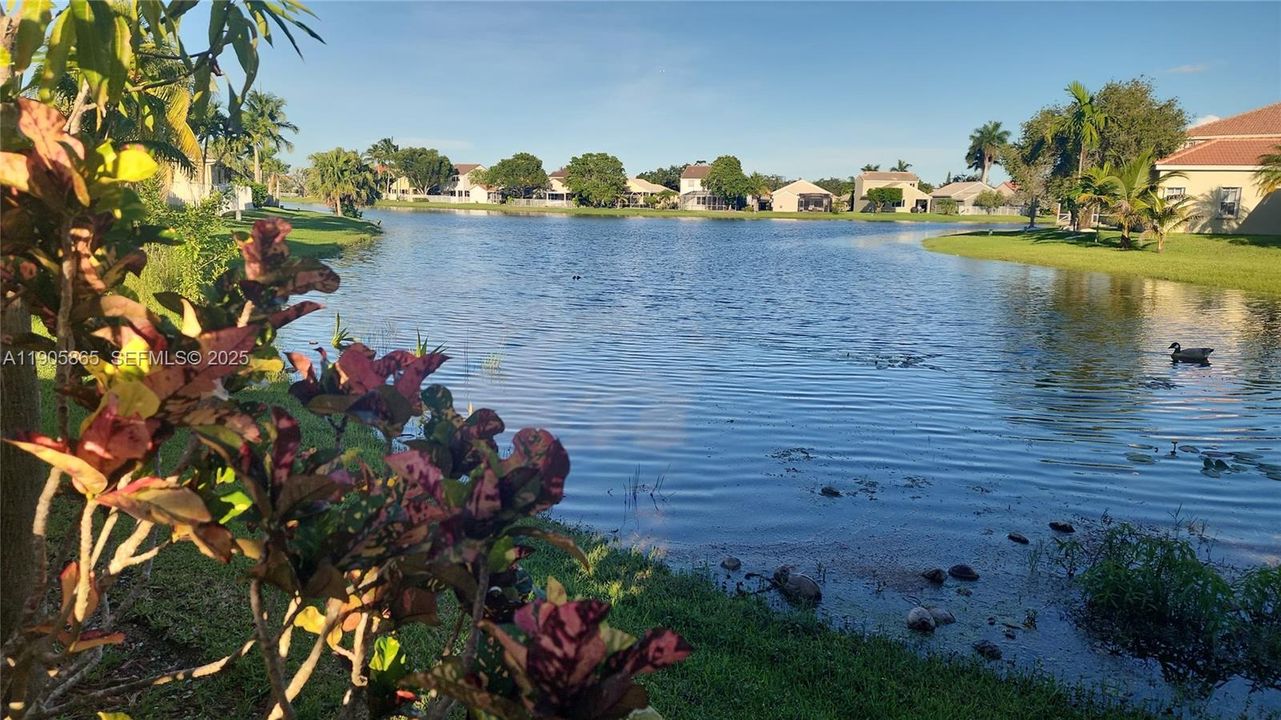 For Sale: $742,000 (3 beds, 2 baths, 1556 Square Feet)