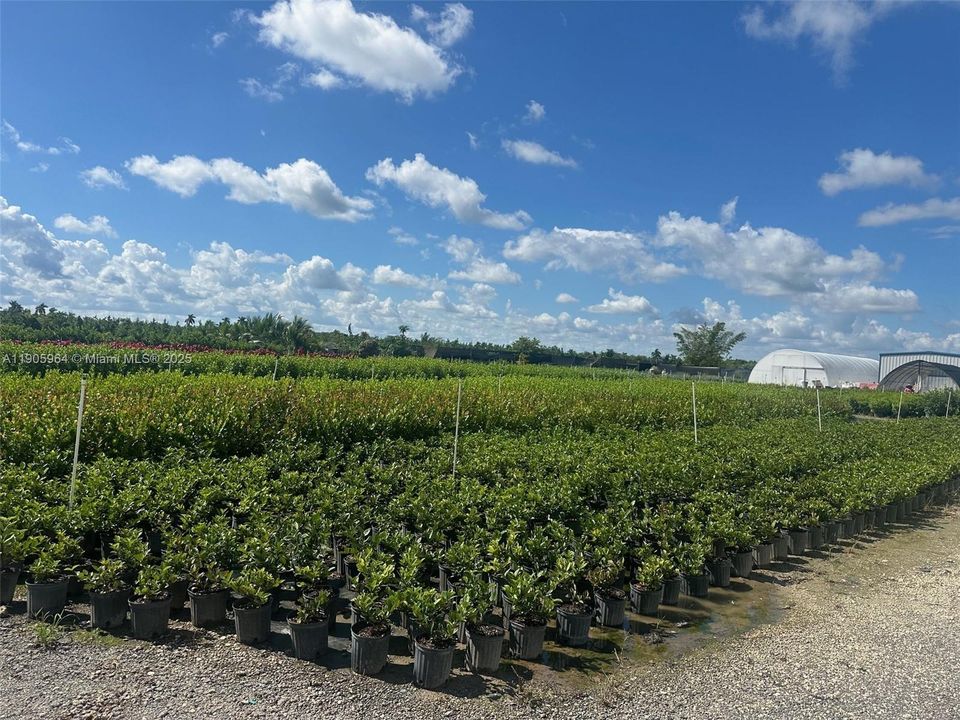 На продажу: $950,000 (0 спален, 0 ванн, 0 Квадратных фут)