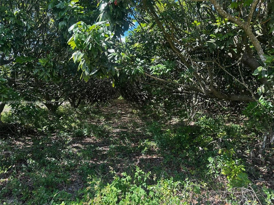 En Venta: $1,600,000 (0 camas, 0 baños, 0 Pies cuadrados)