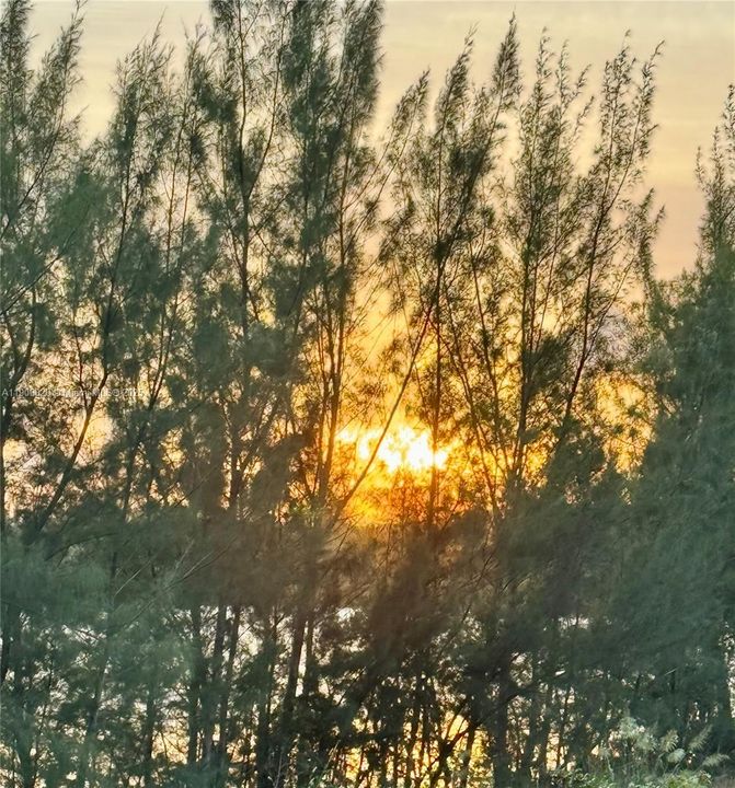 For Rent: $2,750 (2 beds, 2 baths, 1205 Square Feet)