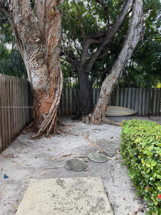 For Sale: $179,999 (1 beds, 1 baths, 567 Square Feet)