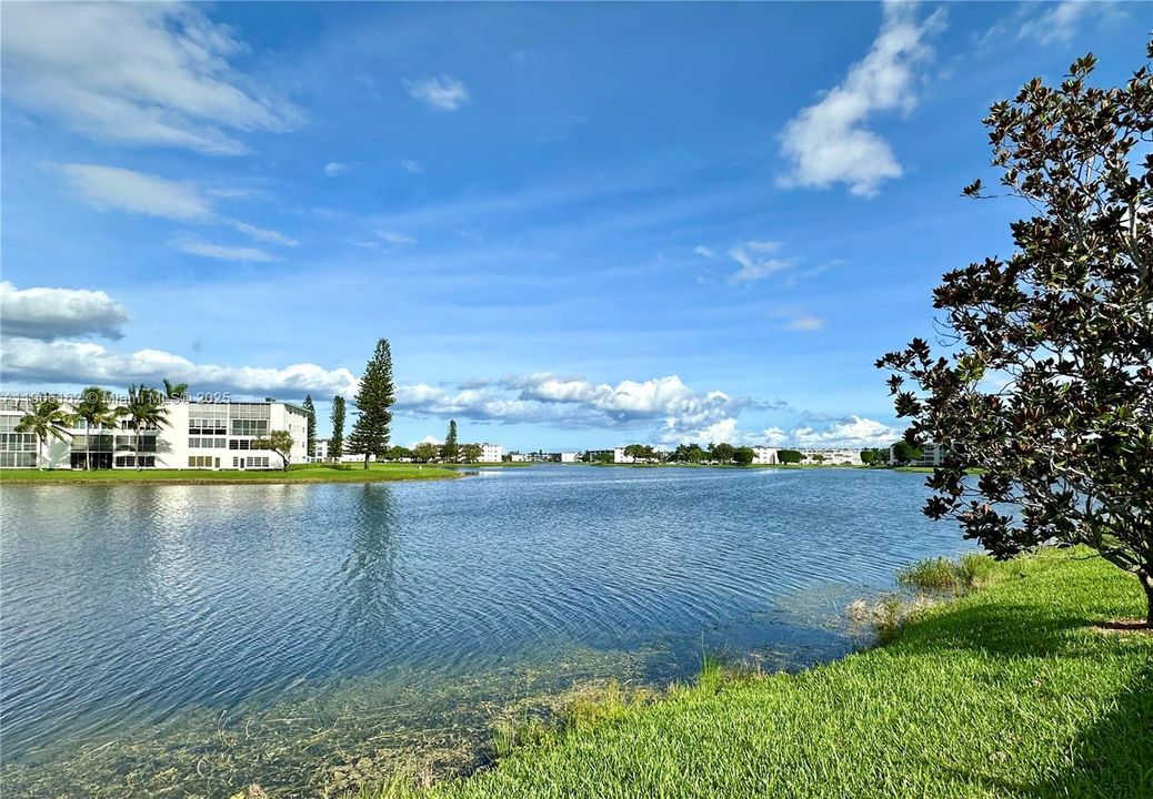 待售: $98,000 (1 贝兹, 1 浴室, 720 平方英尺)