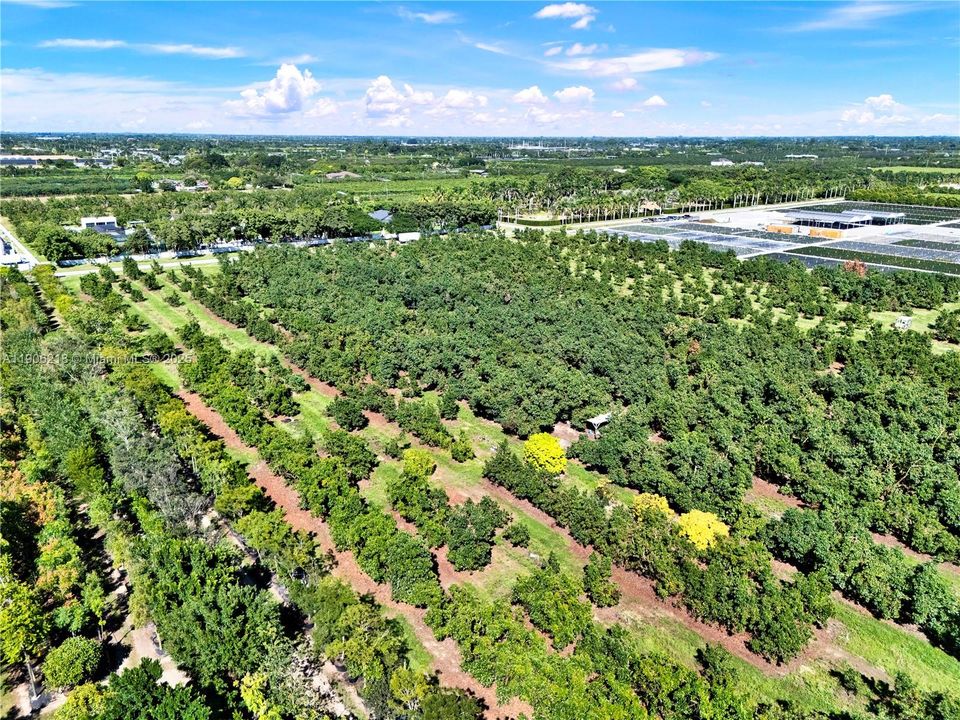 待售: $800,000 (0 贝兹, 0 浴室, 0 平方英尺)