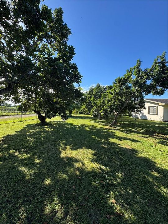 En Venta: $800,000 (4 camas, 2 baños, 2347 Pies cuadrados)