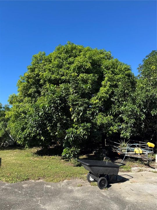 En Venta: $800,000 (4 camas, 2 baños, 2347 Pies cuadrados)