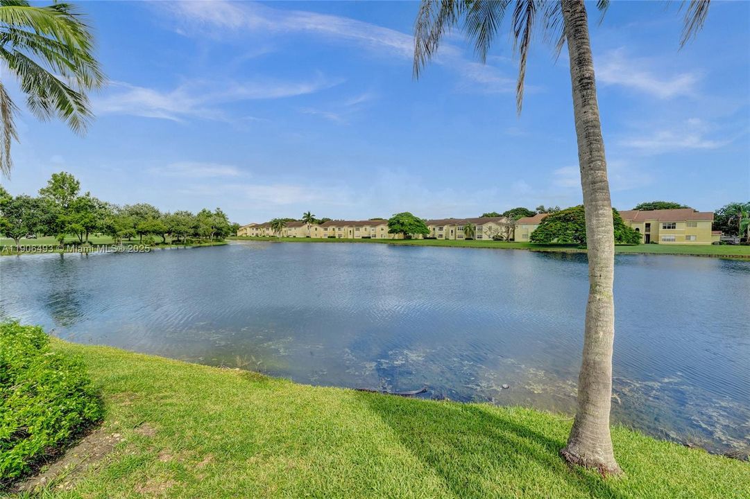 出租: $2,250 (2 贝兹, 2 浴室, 1065 平方英尺)