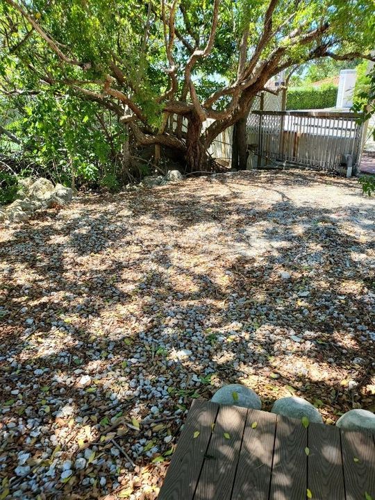 出租: $4,750 (3 贝兹, 2 浴室, 1657 平方英尺)