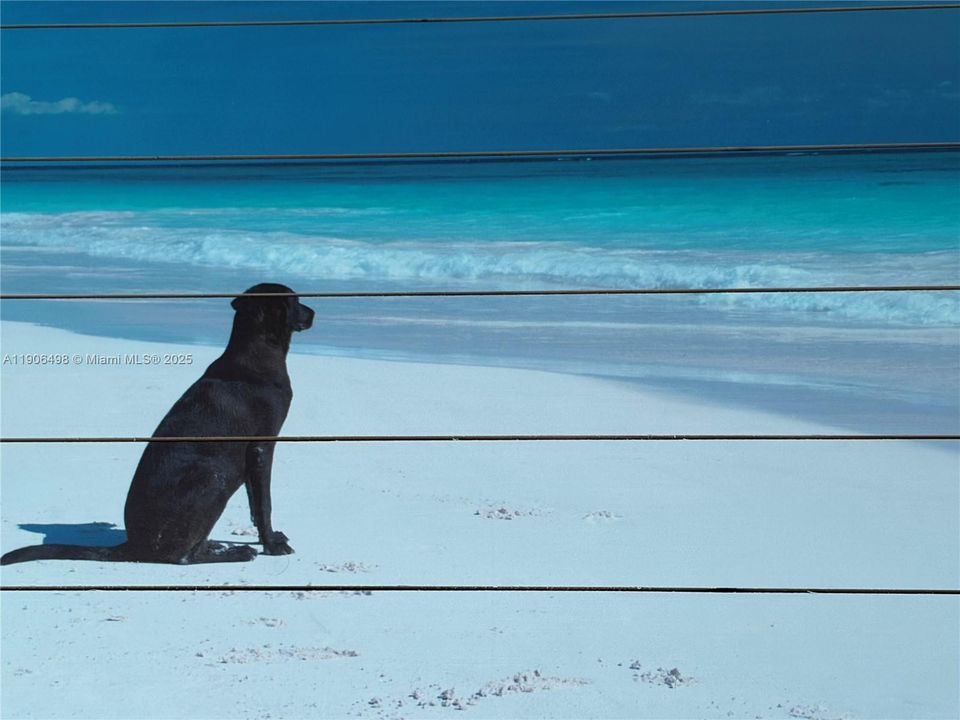 待售: $899,000 (3 贝兹, 2 浴室, 1560 平方英尺)