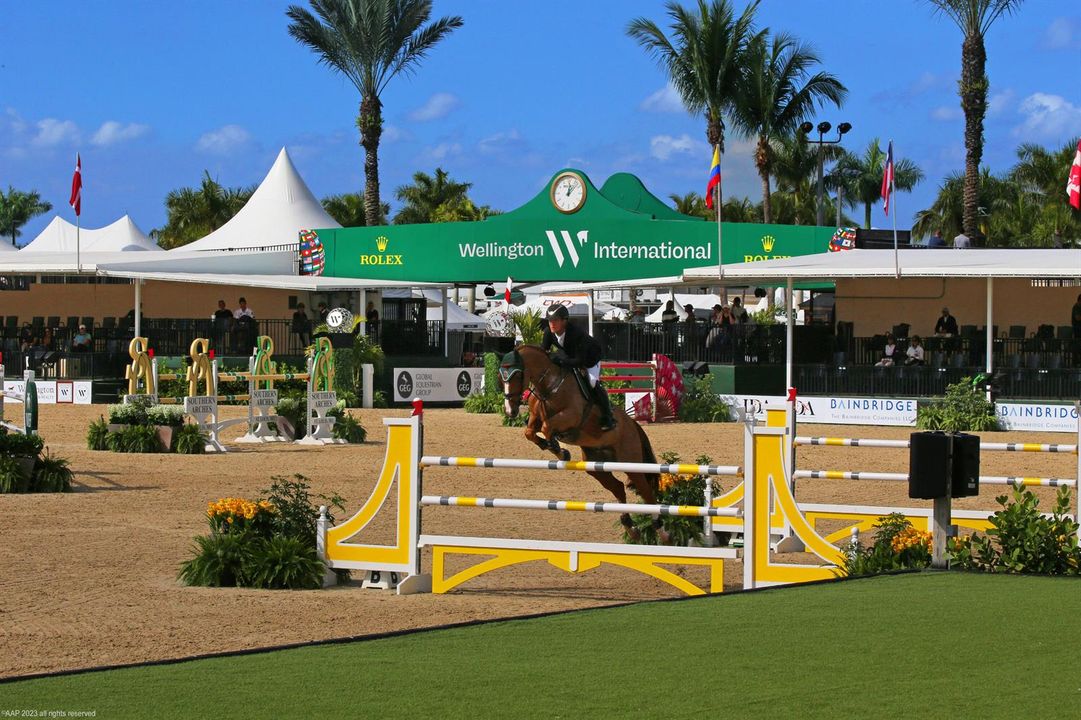 WEF
