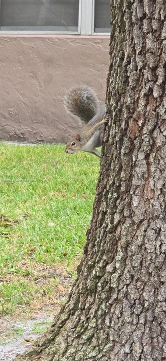 Под контрактом: $1,400 (1 спален, 1 ванн, 835 Квадратных фут)