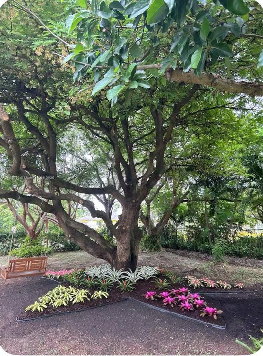 For Sale: $1,400,000 (3 beds, 2 baths, 0 Square Feet)