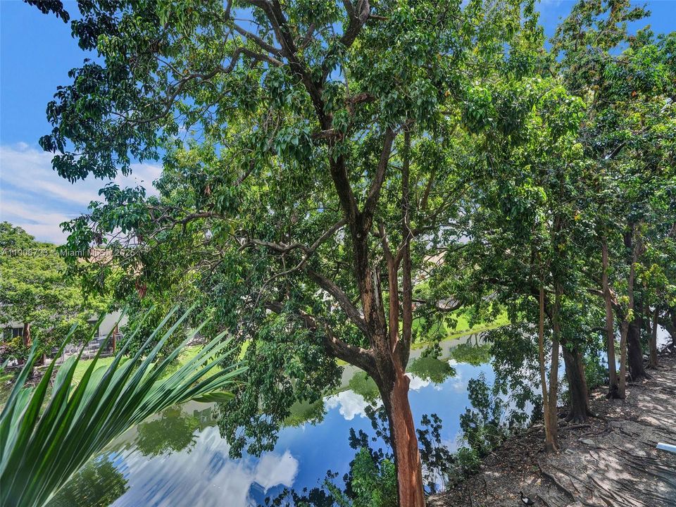 出租: $2,300 (1 贝兹, 1 浴室, 1149 平方英尺)