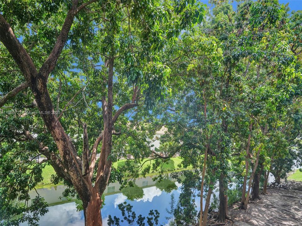 出租: $2,300 (1 贝兹, 1 浴室, 1149 平方英尺)