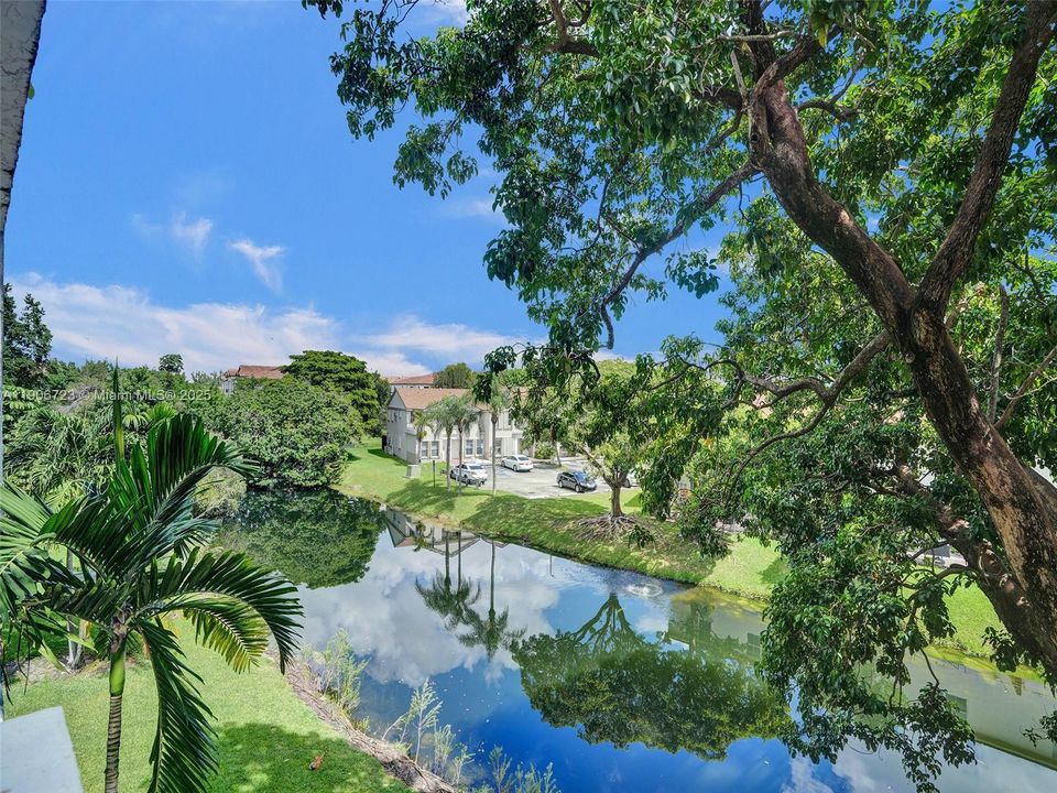 出租: $2,300 (1 贝兹, 1 浴室, 1149 平方英尺)