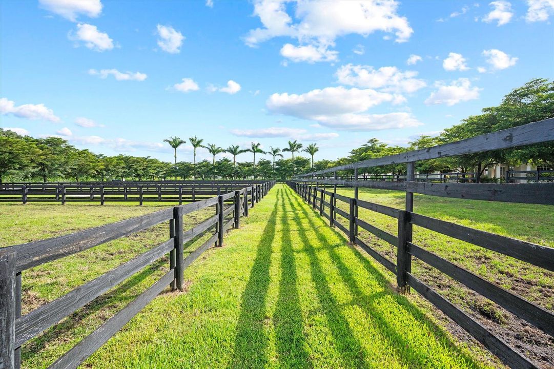 56-DSC_2206-Edit