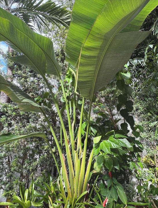 На продажу: $1,239,000 (5 спален, 4 ванн, 2702 Квадратных фут)