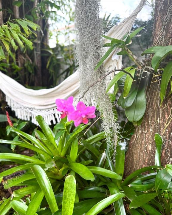 На продажу: $1,239,000 (5 спален, 4 ванн, 2702 Квадратных фут)