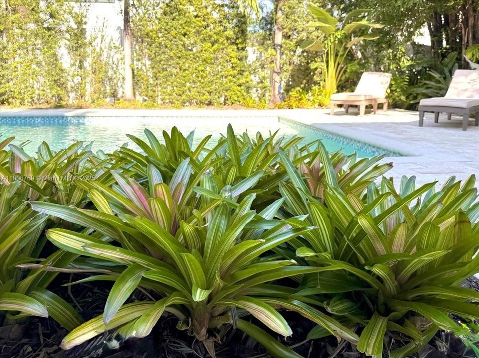 На продажу: $1,239,000 (5 спален, 4 ванн, 2702 Квадратных фут)