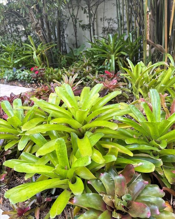 На продажу: $1,239,000 (5 спален, 4 ванн, 2702 Квадратных фут)