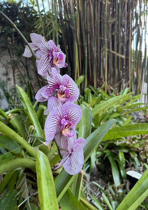 На продажу: $1,239,000 (5 спален, 4 ванн, 2702 Квадратных фут)