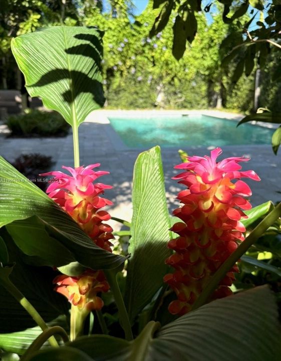 На продажу: $1,239,000 (5 спален, 4 ванн, 2702 Квадратных фут)