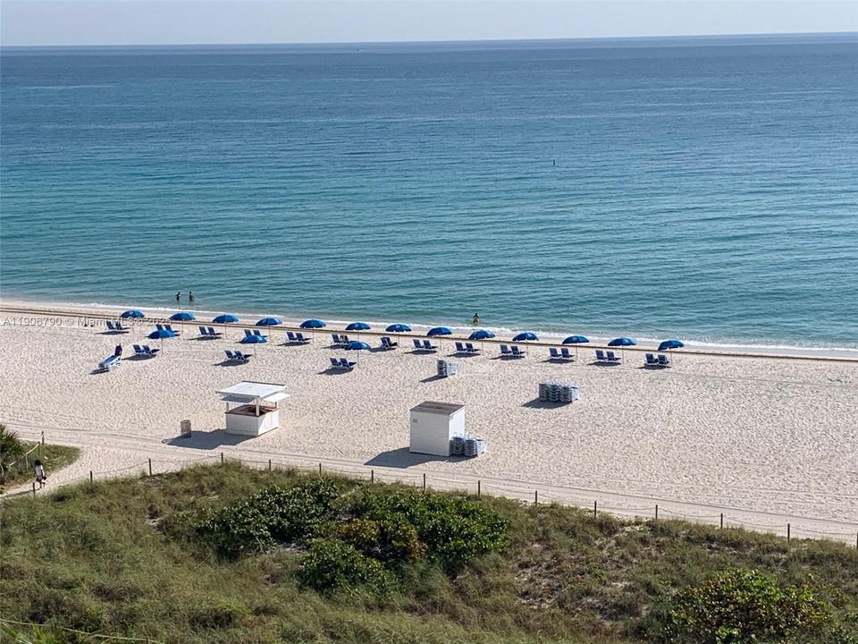 合同活跃: $3,500 (2 贝兹, 2 浴室, 1290 平方英尺)