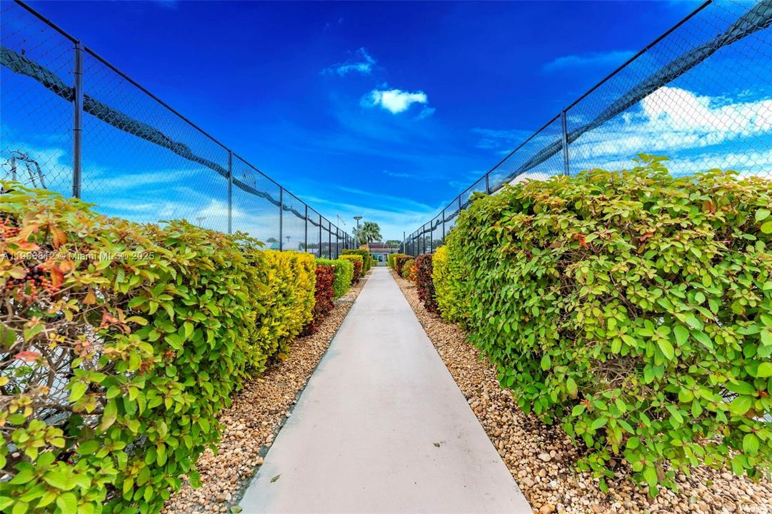 Newly Renovated Tennis Courts