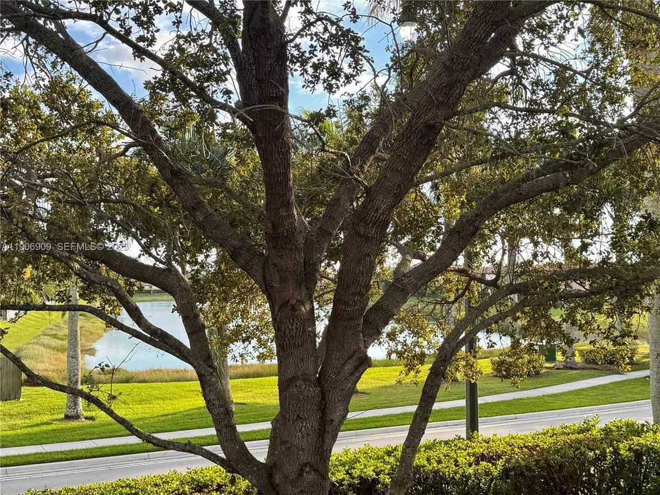 For Rent: $1,850 (2 beds, 2 baths, 1048 Square Feet)