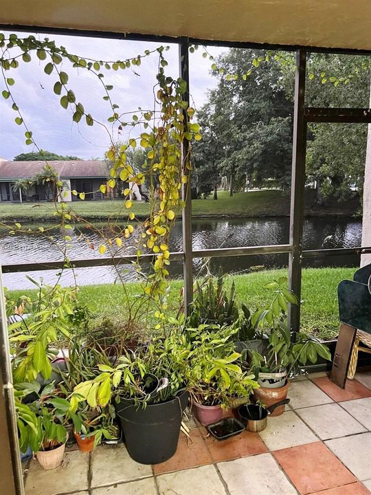 Activo con contrato: $289,000 (2 camas, 2 baños, 1256 Pies cuadrados)