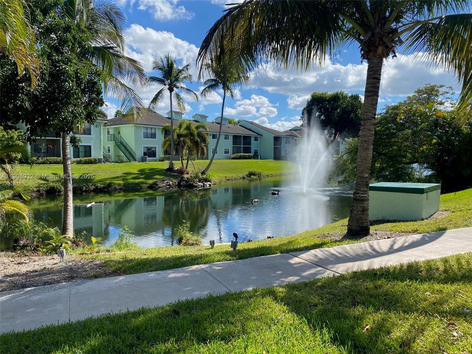 合同活跃: $1,580 (1 贝兹, 1 浴室, 595 平方英尺)