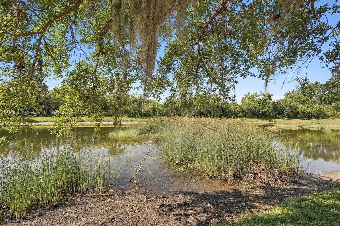 出租: $2,000 (3 贝兹, 2 浴室, 0 平方英尺)