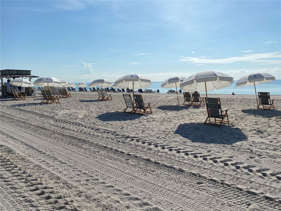 出租: $7,200 (2 贝兹, 1 浴室, 960 平方英尺)