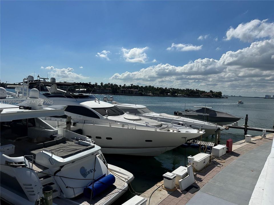 出租: $2,300 (0 贝兹, 1 浴室, 678 平方英尺)